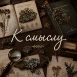 К смыслу