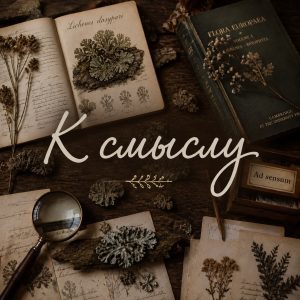 К смыслу