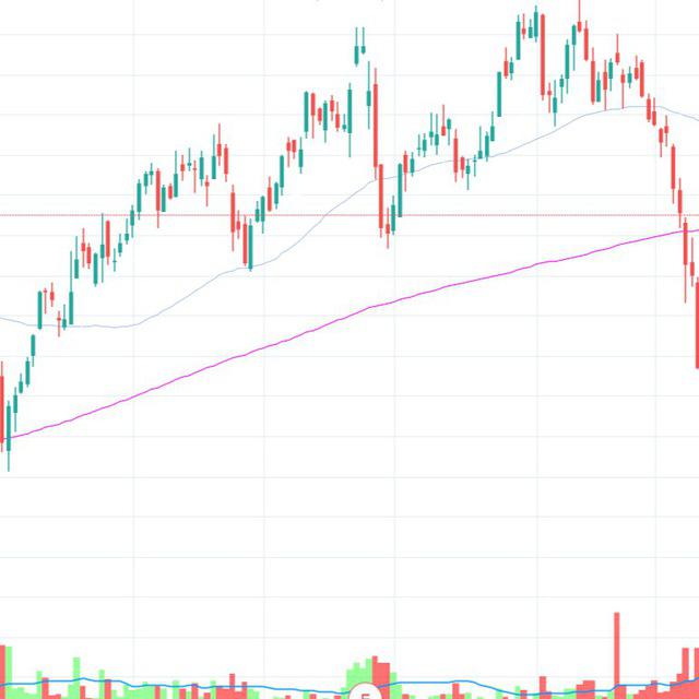 Профит канал. Тг канал о фондовом рынке.