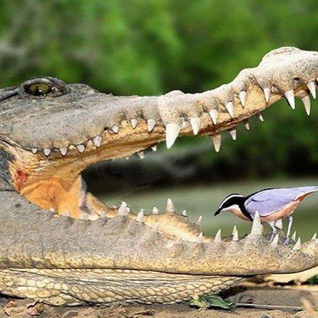 Дикий маркетинг • Канал Telegram